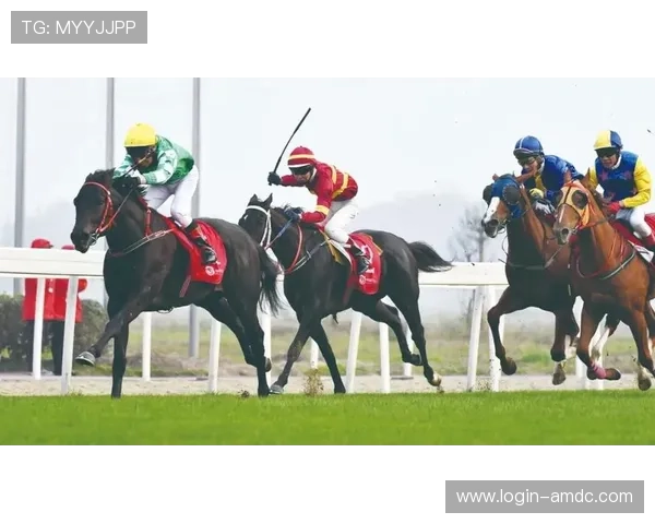 优化马会投注手机版会员登录体验,提升投注速度与安全性